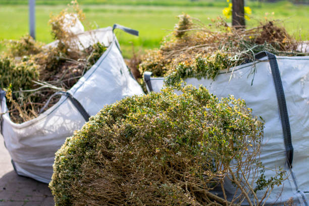 Best Junk Hauling Services  in East Stroudsburg, PA